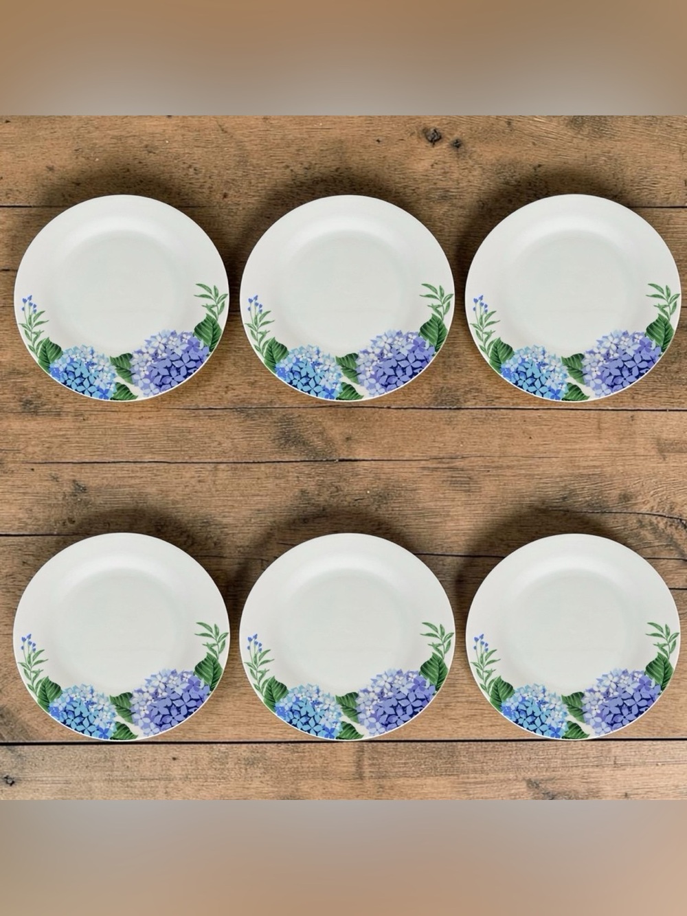 Royal Norfolk 6 Hydrangea Dinner Plates Floral Cottagecore Garden Coastal